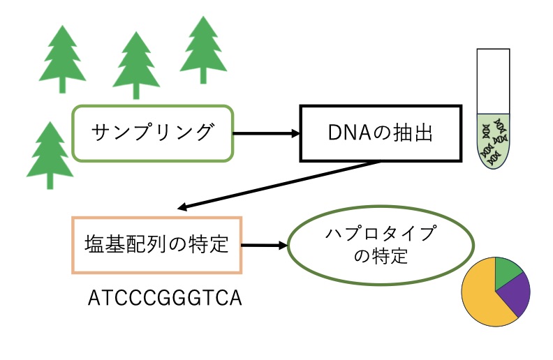 202321073@0012023210731@2023_最終版_図1_馬籠優輔