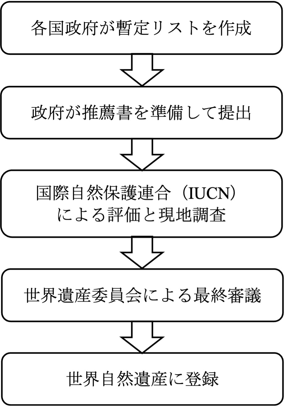 2023＿最終版＿図1＿世界自然遺産に登録されるまでの流れ