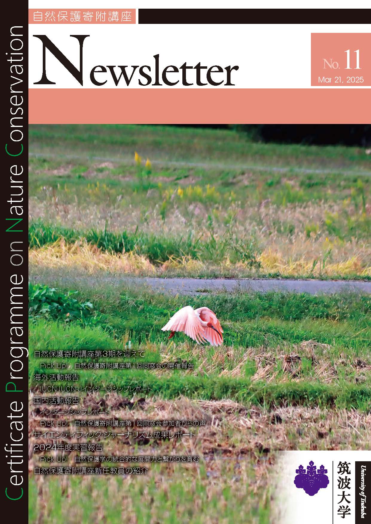 Newsletter_vol11_完成版_HP掲載加工用_ページ_01
