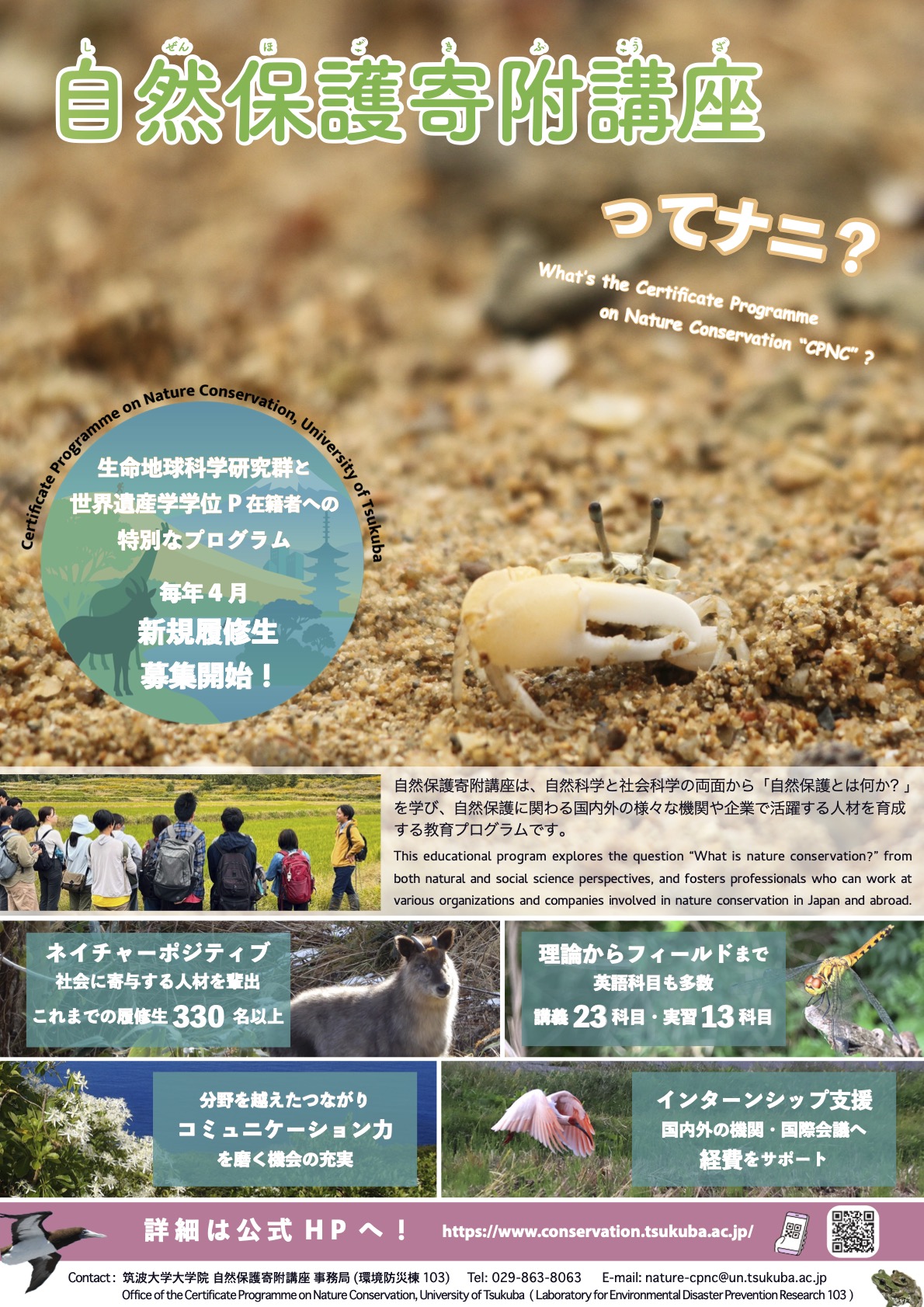 チラシ表（恒常ポスター）