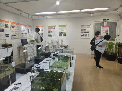 水草展会場内の様子