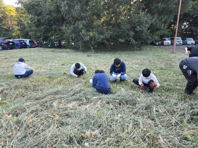 数名の生徒が草原にてセイタカアワダチソウの除去を行っている。